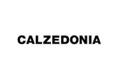 Brand logo for Calzedonia / Intimissimi