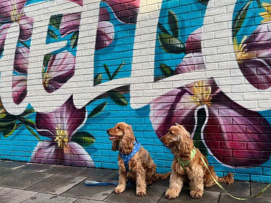 Cheshire Oaks Designer Outlet Up to 60 Less McArthurGlen