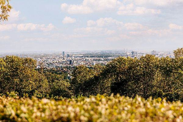 Parndorf Destination Guide