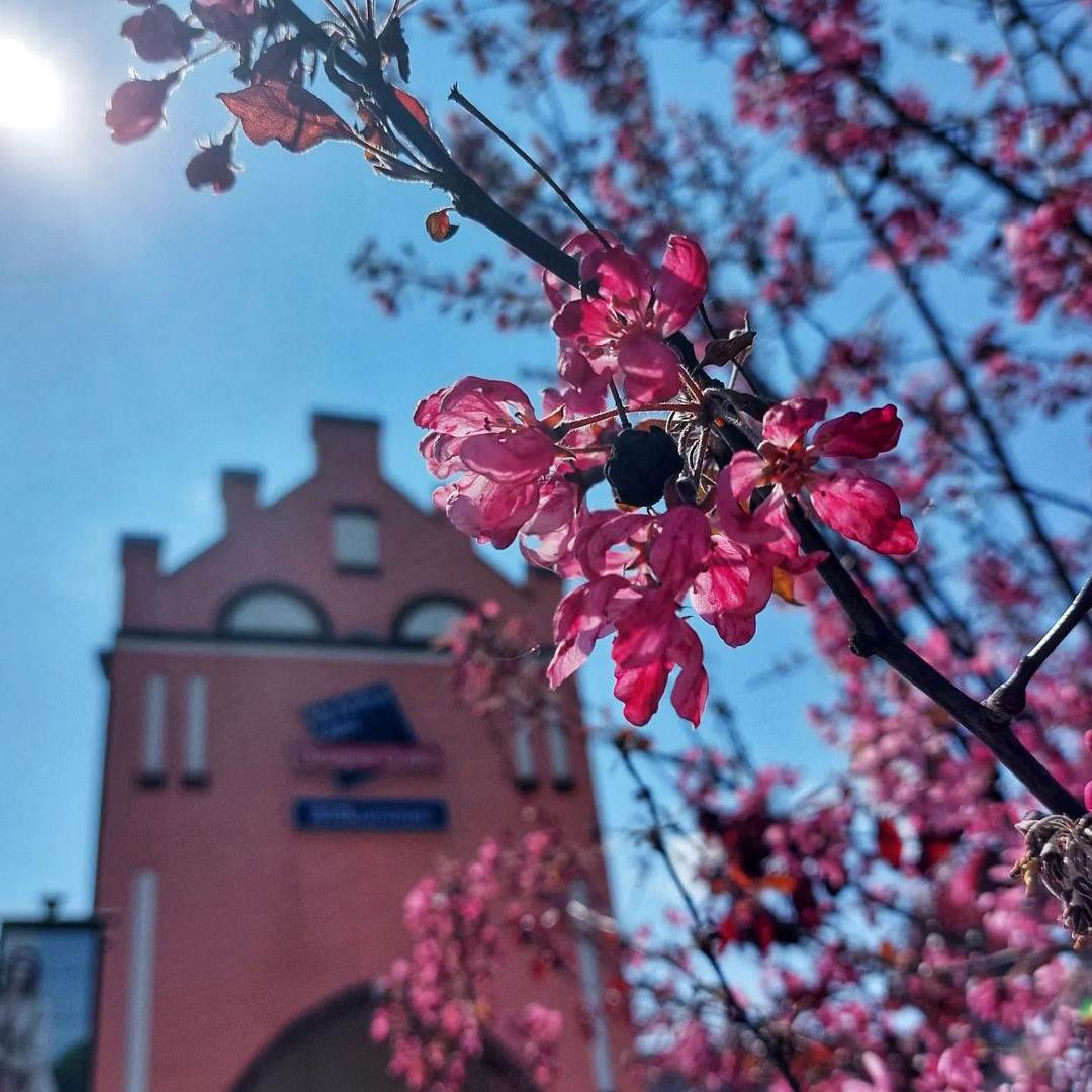 Gewinnspiel im Designer Outlet Berlin