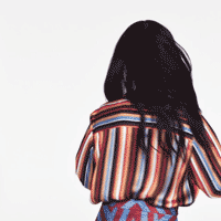stripesW.gif