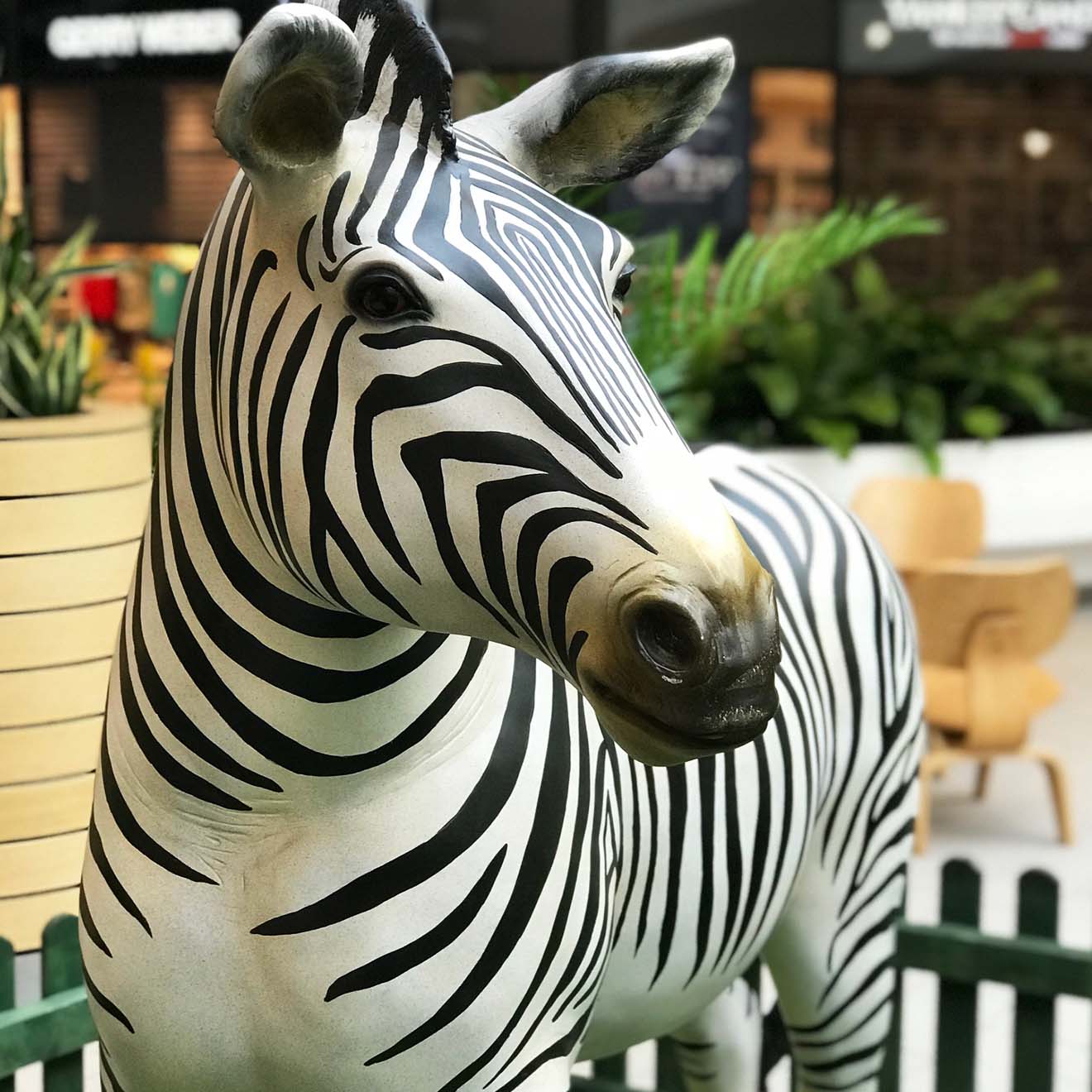 Stripey Zebra 1320x1320.jpg