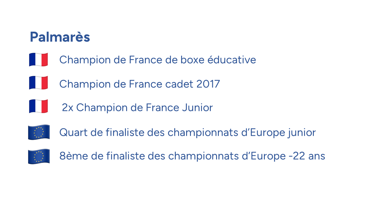 Raphaël-palmares