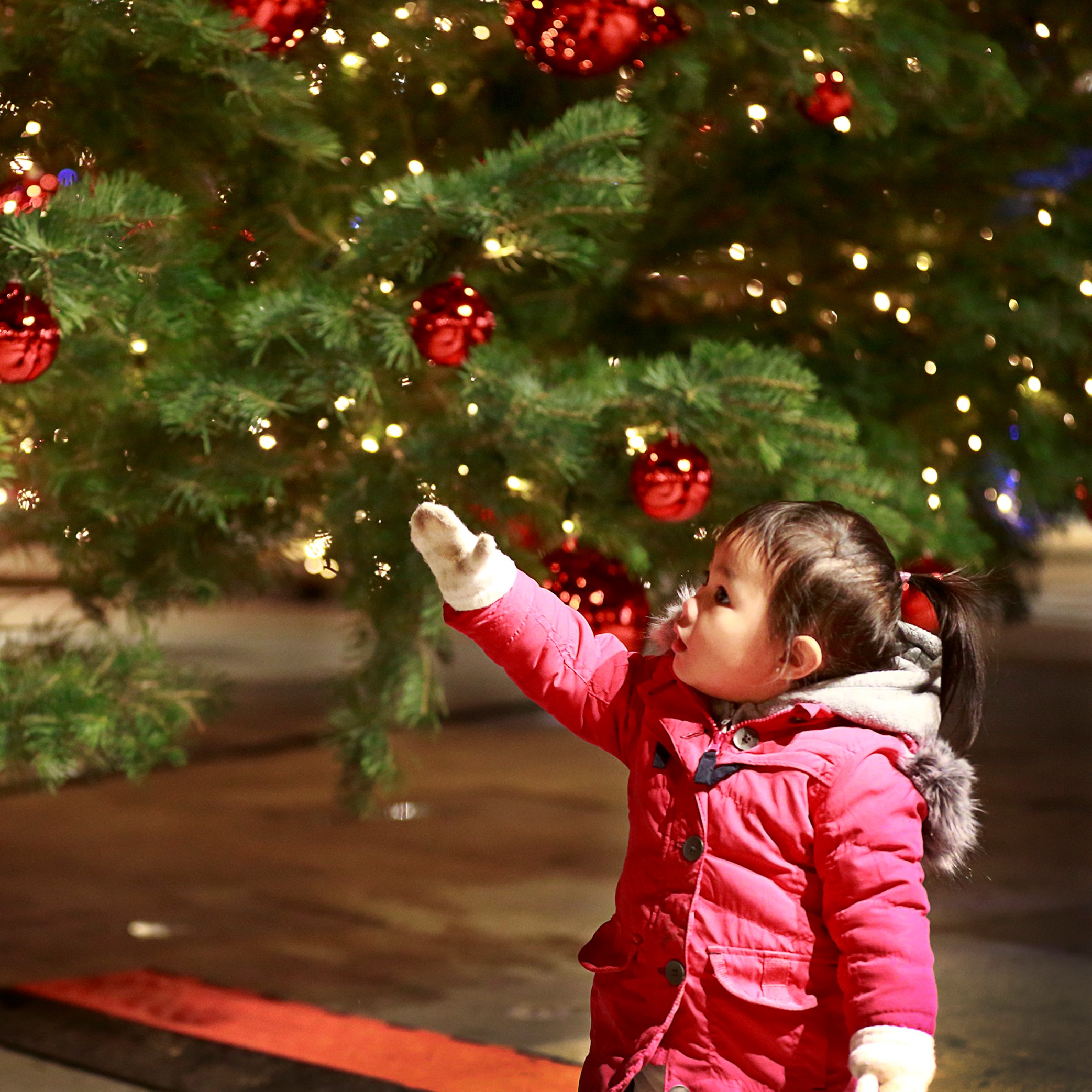 McGLEN_VAN_XMAS_053_sq.jpg