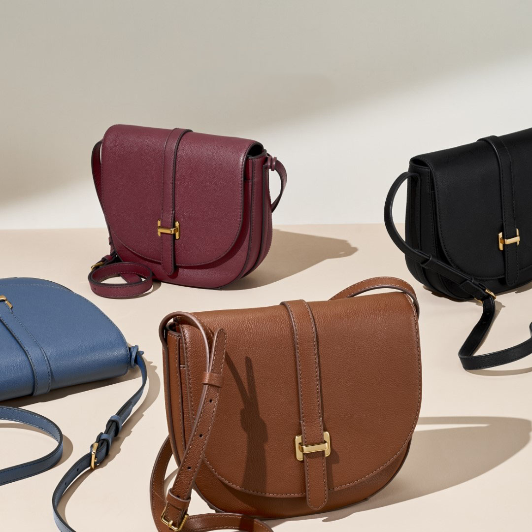 Fossil New Collection