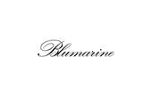 Brand logo for Blumarine