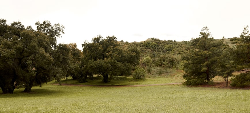 tommy hilfiger mcarthur glen