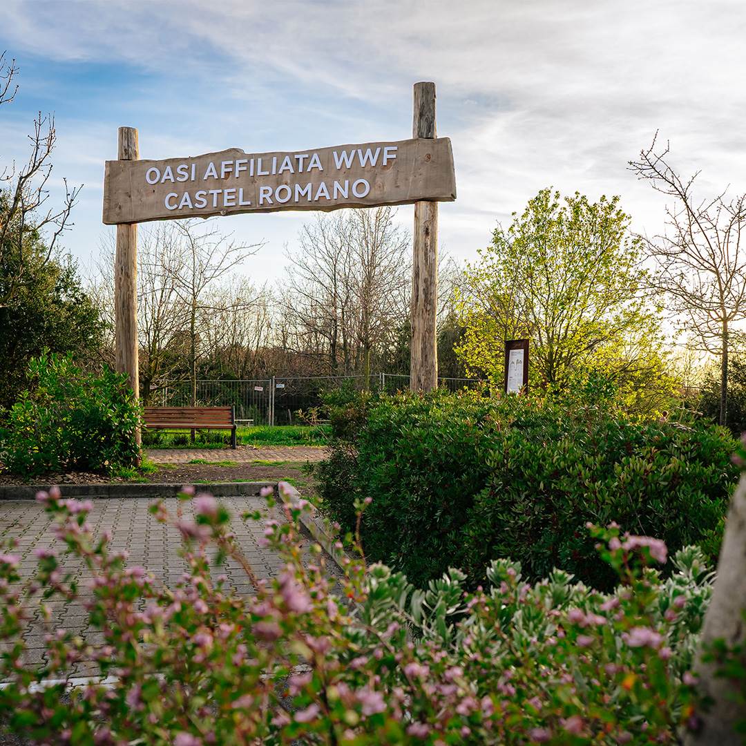 oasi-affiliata-wwf-castelromano