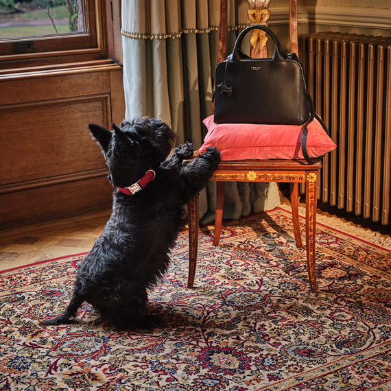 Radley | Cheshire Oaks Designer Outlet | McArthurGlen