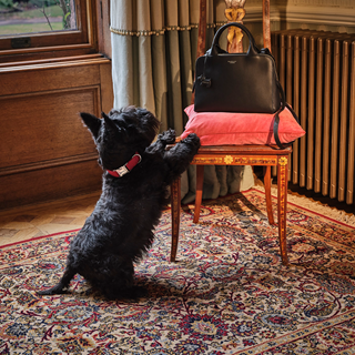 radley bags mcarthur glen