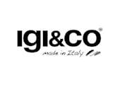 Brand logo for IGI&CO