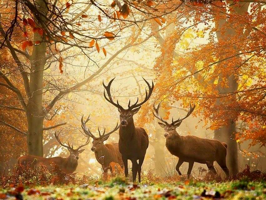 West Midlands_travel_diary