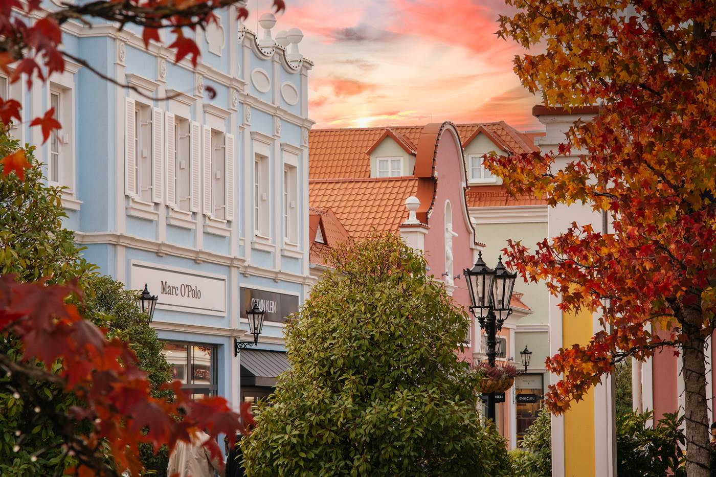 Discover the new Trends